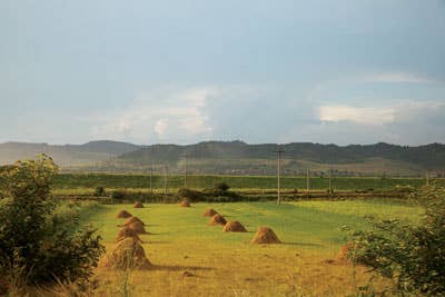 Haystacks in the field outside Miklosvar