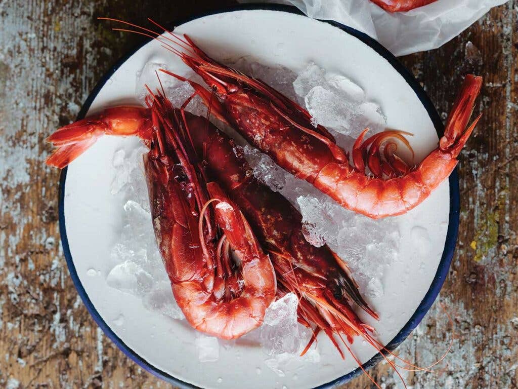 Icy prawns