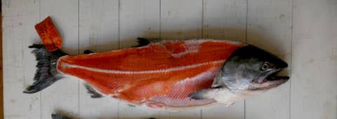 httpswww.saveur.comsitessaveur.comfilesimport2008images2008-05634-112_know_your_salmon_1_480.jpg