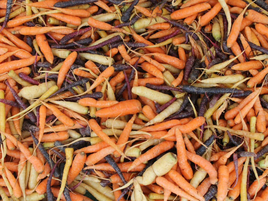 Carrots