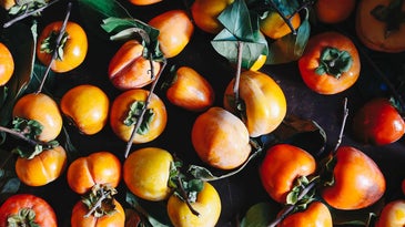 Stop What You’re Doing and Eat All the Persimmons You Can