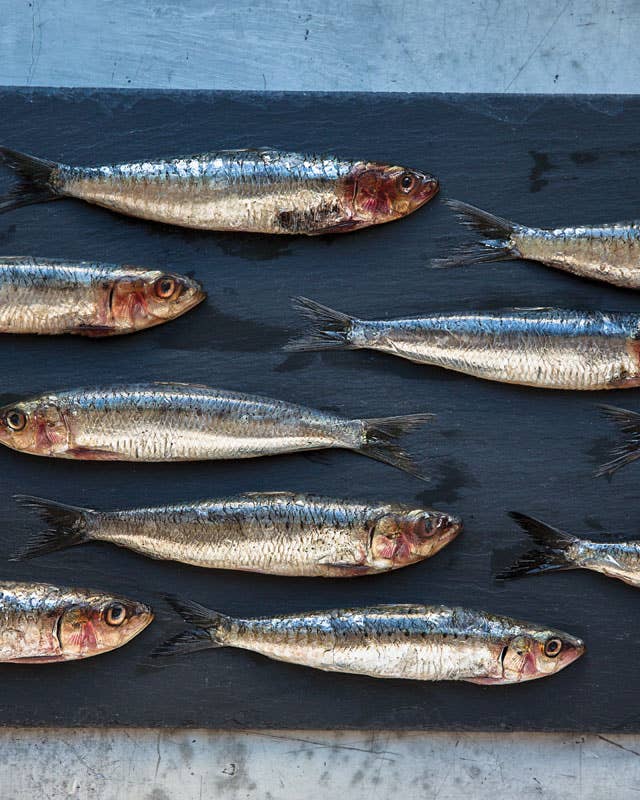feature-forgotten-fish-sardines-1200x800-i164