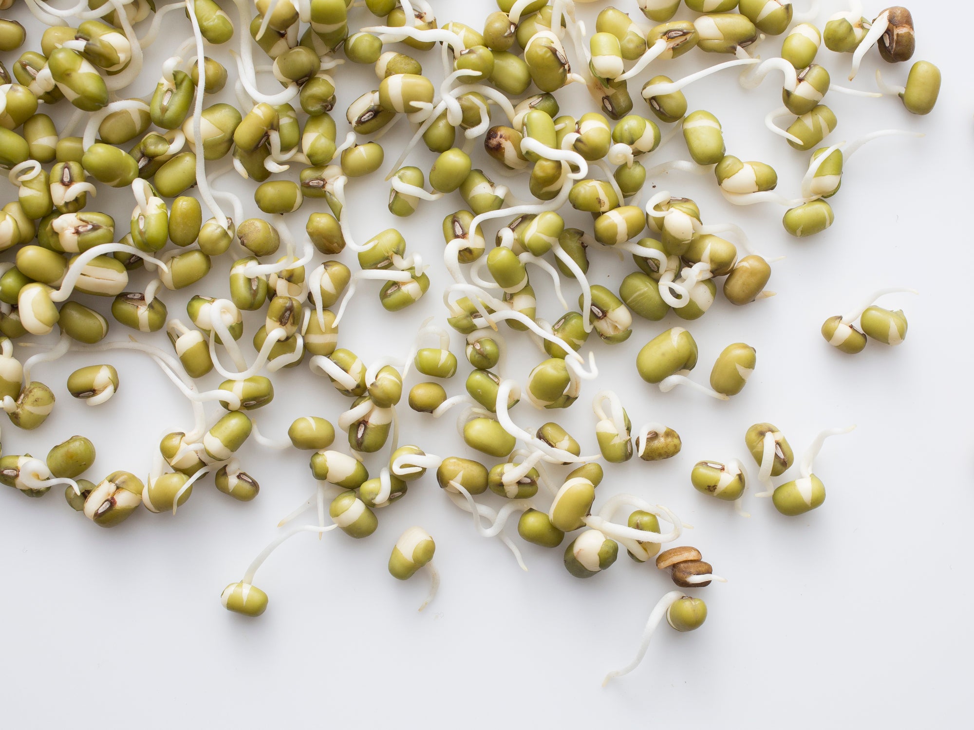 How to Make Sprouted Seeds and Beans at Home Saveur