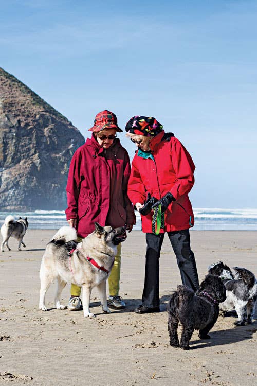 feature-from-western-waters-oregon-beach-basalt-rock-500x750-i164