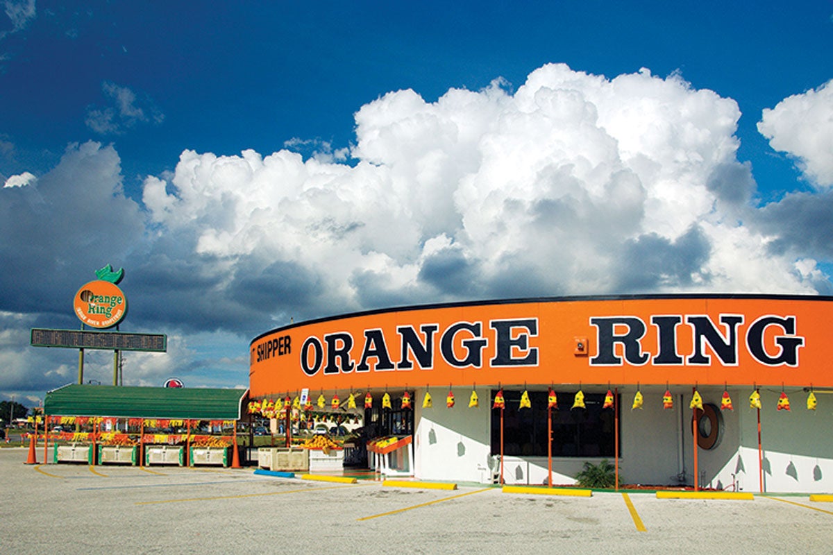Florida's Citrus Stands Saveur