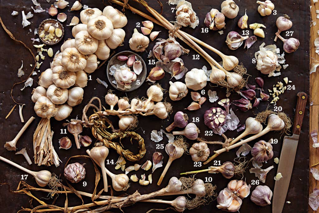 types of garlic