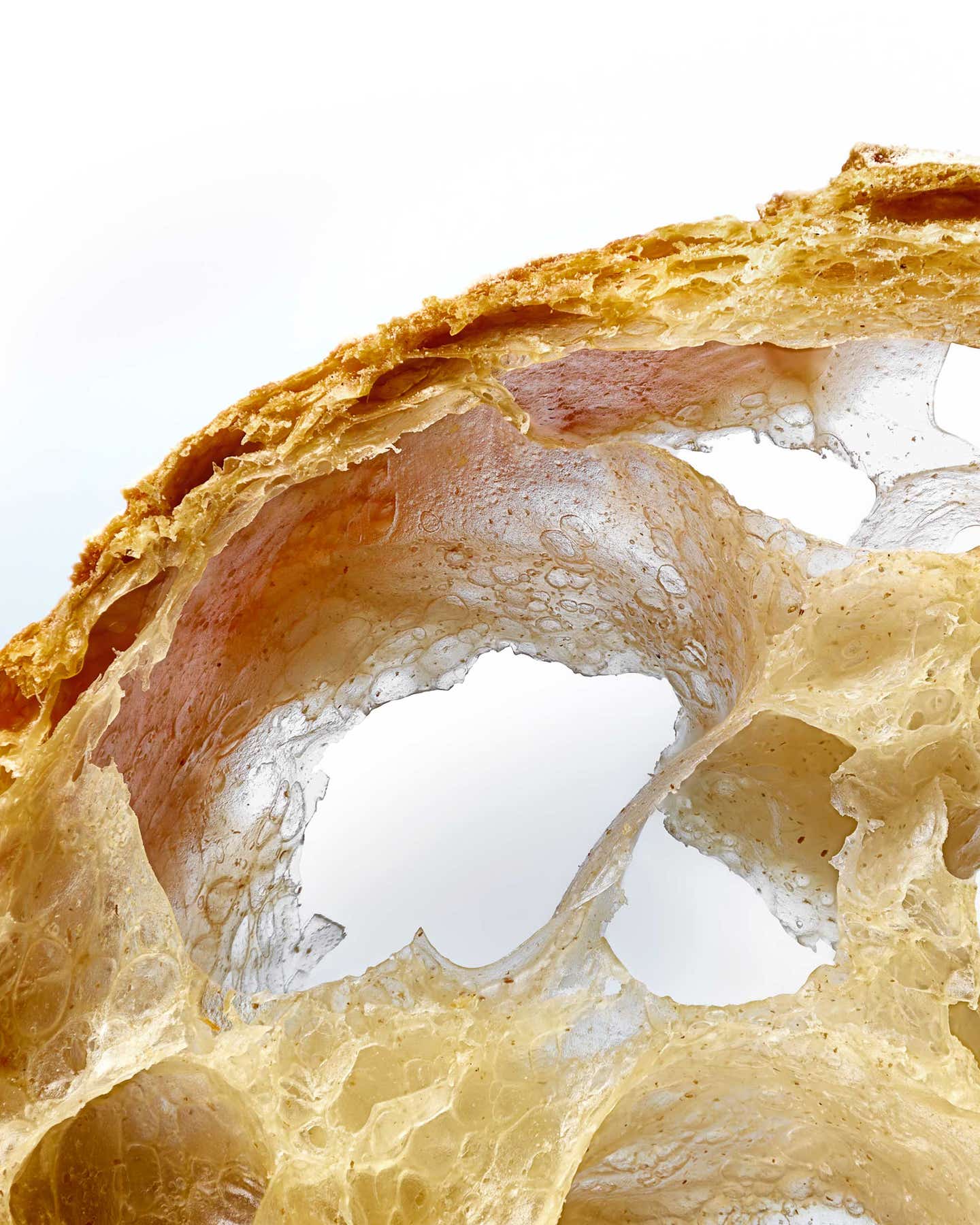 Modernist Bread is Here to Help You Perfect the Art (and Science) of Baking Fresh Bread Modernist Bread is Here to Help You Perfect the Art (and Science) of Baking Fresh Bread