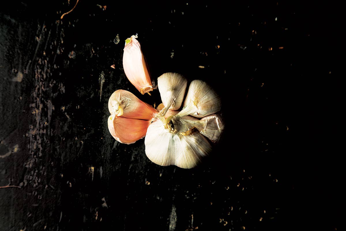 One Ingredient, Many Ways: Garlic