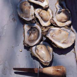 To Prepare a Lowcountry Oyster Roast