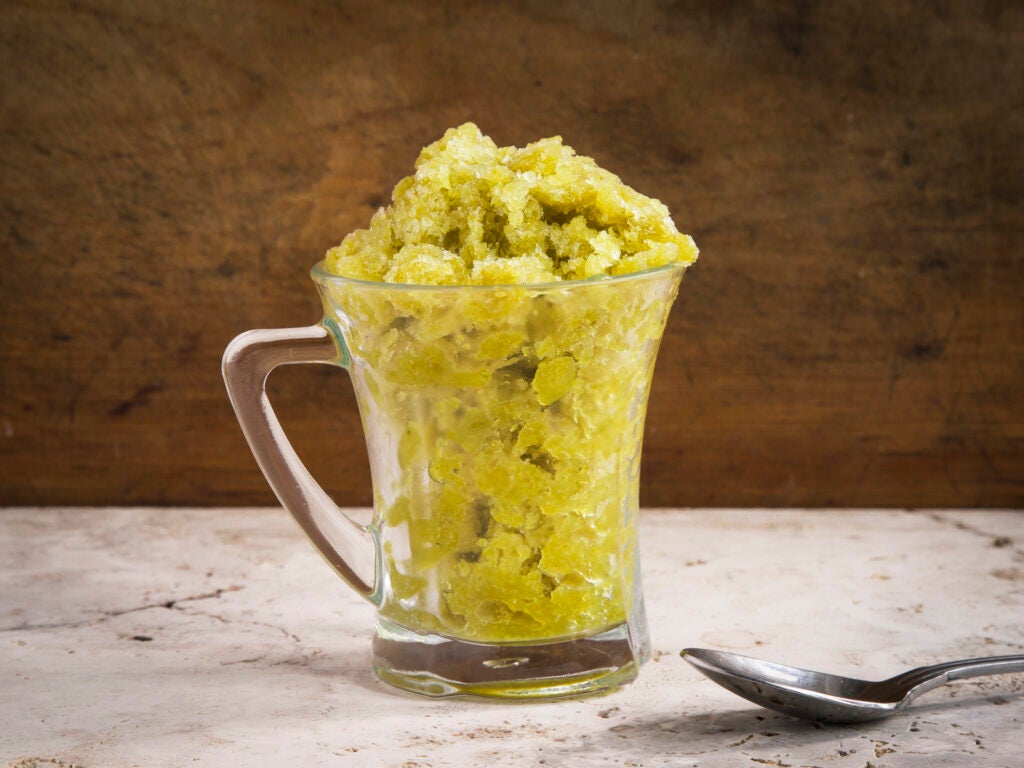 Cactus Ice Granita