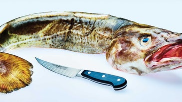 Why You Should Definitely Buy a Whole Fish