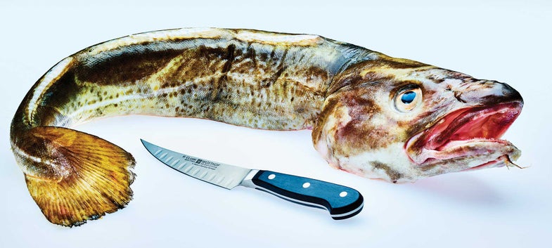 a whole fish and a knife