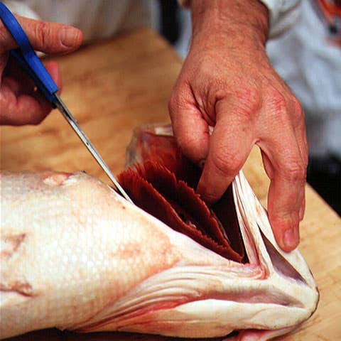httpswww.saveur.comsitessaveur.comfilesimport2007images2007-1207_CleaningBass_3.jpg