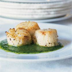 httpswww.saveur.comsitessaveur.comfilesimport2007images2007-11125-31_scallops_with_pesto_250.jpg