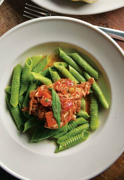 Rabbit Ragu with Garganelli