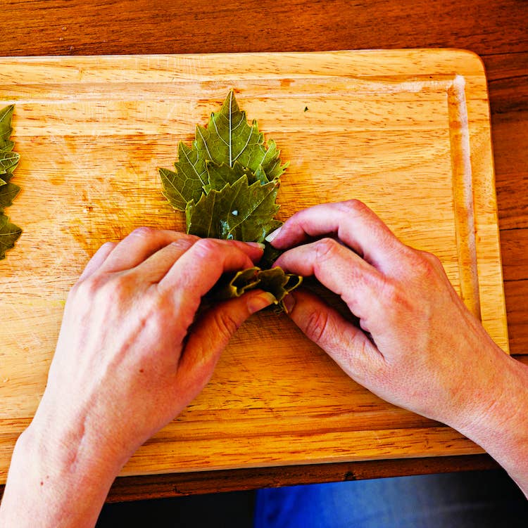 httpswww.saveur.comsitessaveur.comfilesimport2013images2013-047-technique-grapeleaves01-750.jpg