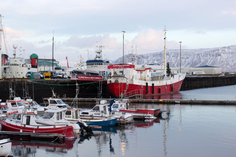 Ships in Iceland