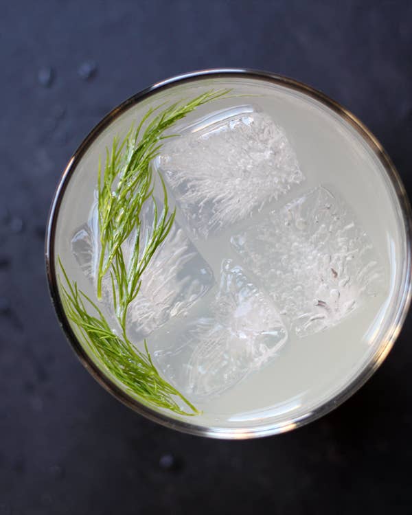 Friday Cocktails: Caraway Fizz