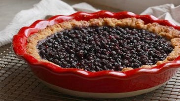 A (Slightly Scandalous) North Haven Blueberry Tart