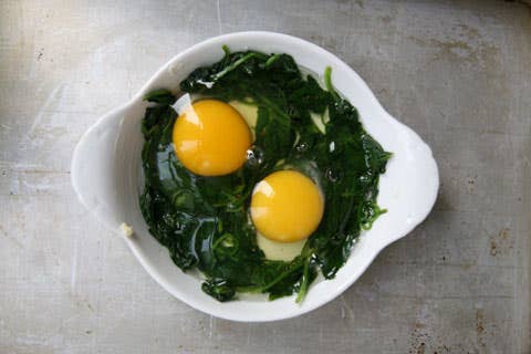 httpswww.saveur.comsitessaveur.comfilesimport2008images2008-09634-making_baked_eggs_1_480.jpg
