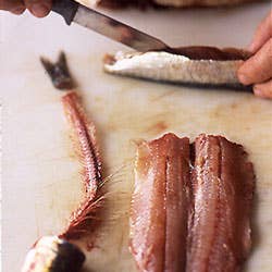 Fileting Sardines