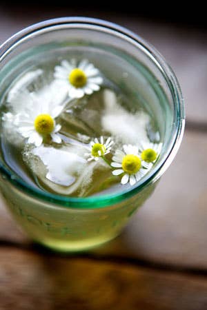 httpswww.saveur.comsitessaveur.comfilesimport2011images2011-067-sites-we-love-la-buena-vida-camomile-flowers-300.jpg