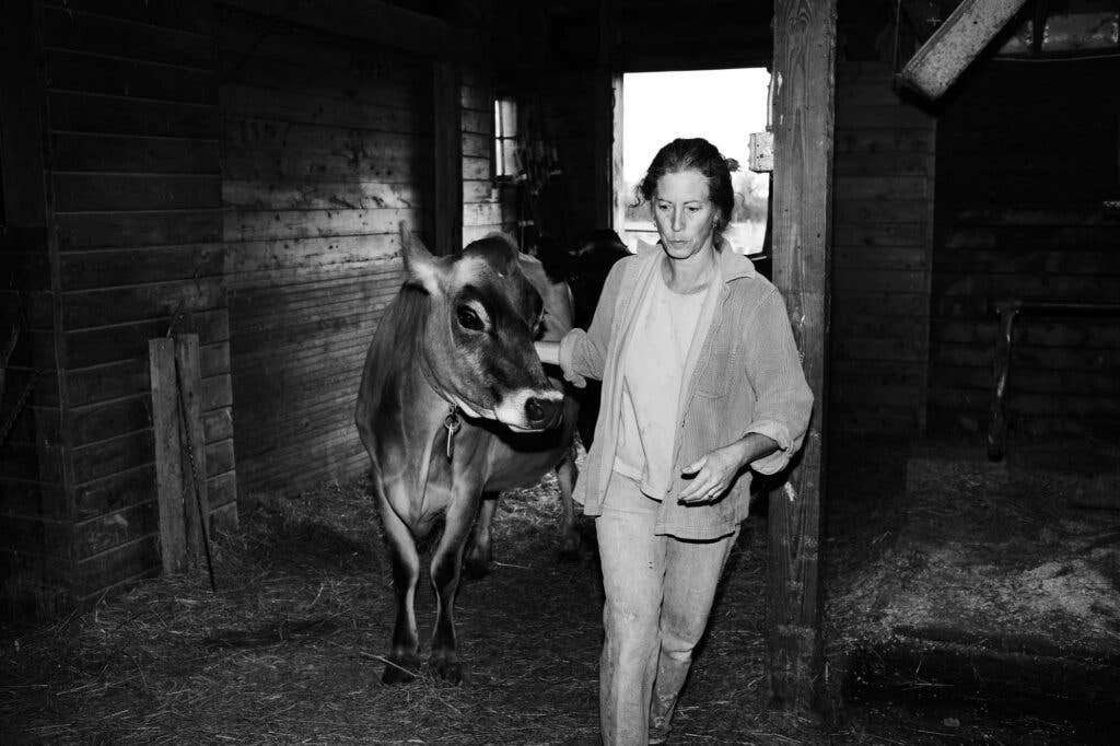 St. Clair with one of her 11 Jersey cows on her Vermont property