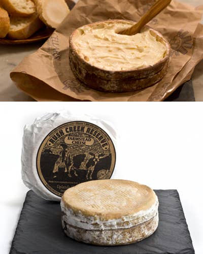 Winter Cheeses