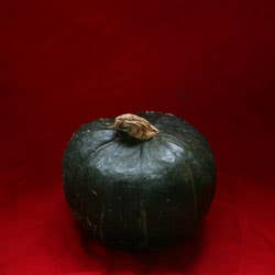 Buttercup Green pumpkin