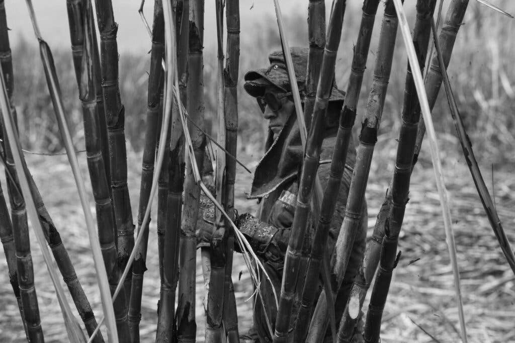 Sugar Cane Cutter Colombia Valle de Cauca