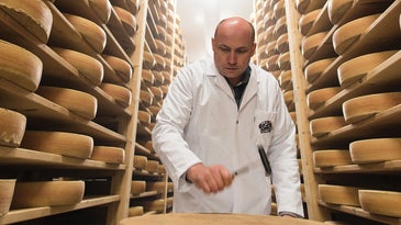 Meet Switzerland's Breakaway Cheesemakers