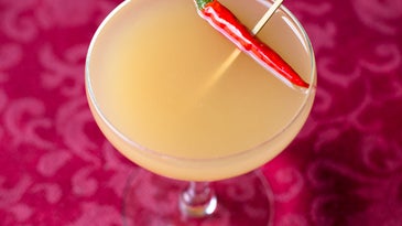Friday Cocktail: The Eros Elixir