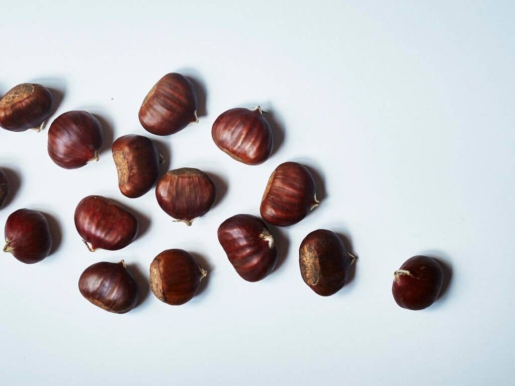 chestnuts