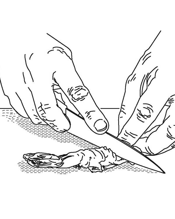 Small Fry: How to Prepare Shrimp for Tempura