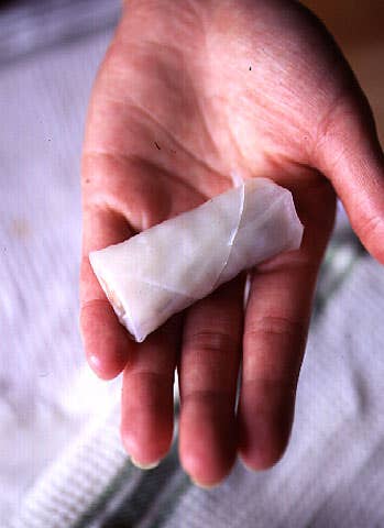 httpswww.saveur.comsitessaveur.comfilesimport2007images2007-1213_springroll_5.jpg