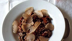 Wild Mushroom Risotto with White Truffles