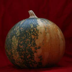 Golden Papaya pumpkin