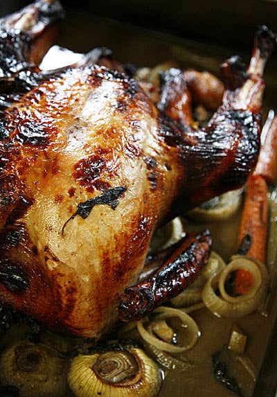 What’s Cooking?: Thanksgiving Turkey