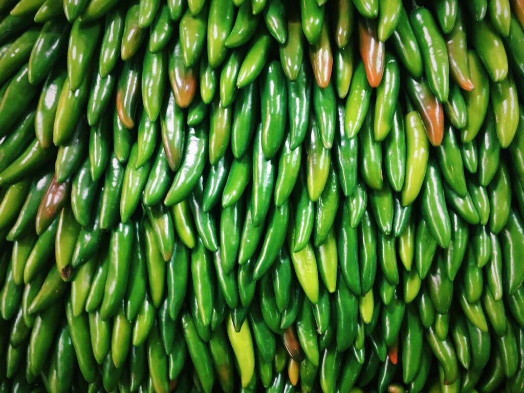 Mercado Merced Jalapeños