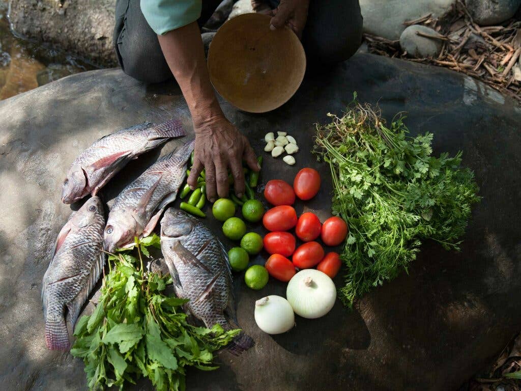 Ingredients for Stone Soup