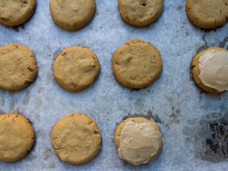 Turtleback Cookies