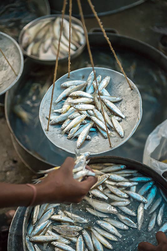 northeast-india-guwahati-fish-veg-market1