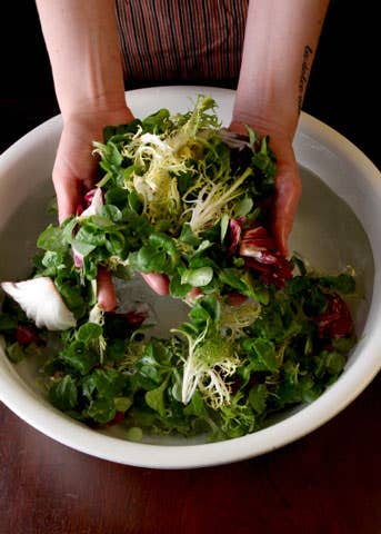 httpswww.saveur.comsitessaveur.comfilesimport2009images2009-04634-chef_tech-greens_480.jpg