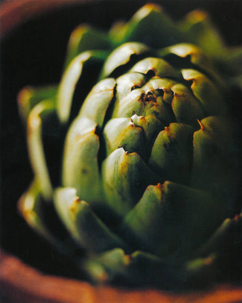 artichoke