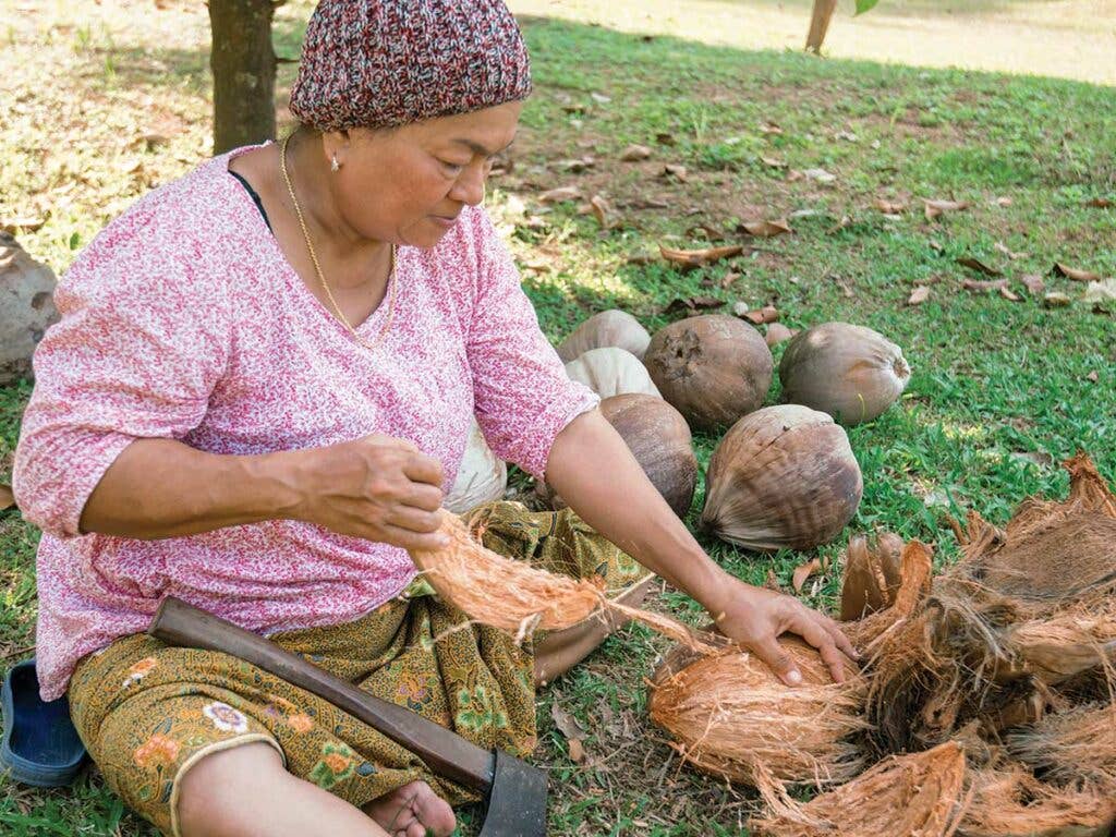 Husking coconuts