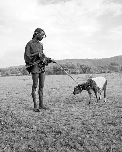 Rite of Passage Rite of Passage