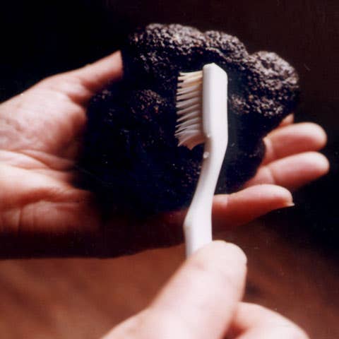 httpswww.saveur.comsitessaveur.comfilesimport2007images2007-12628-55_cleaning_truffles.jpg