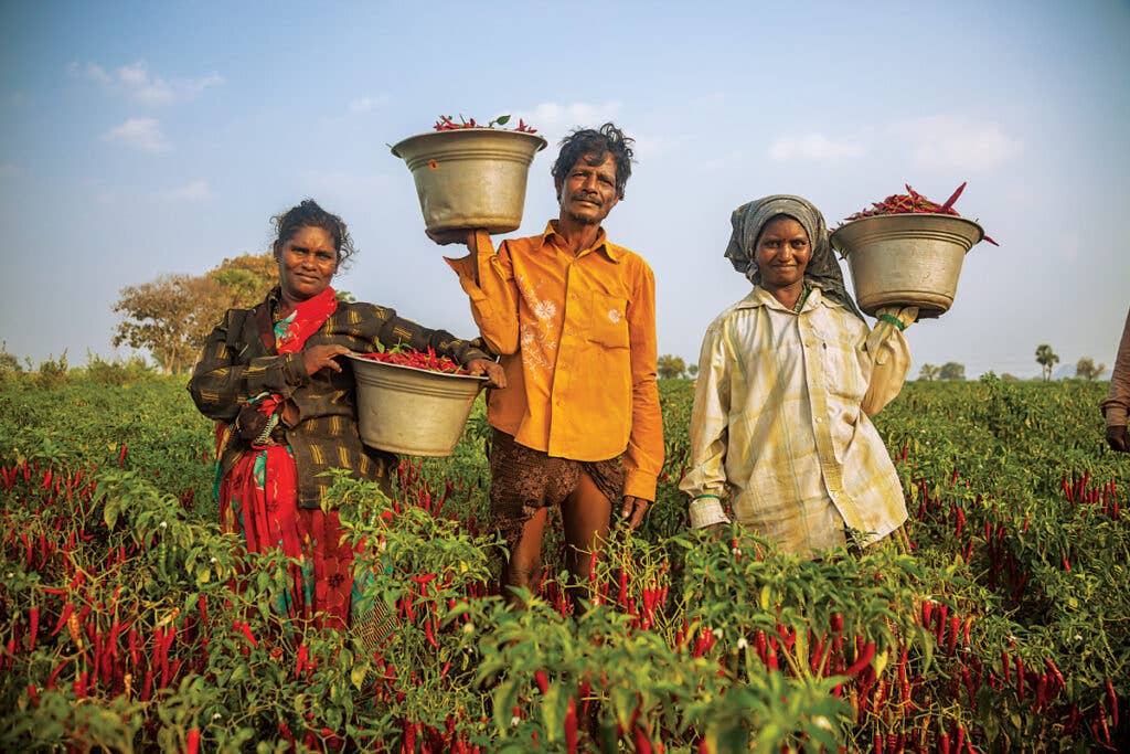 South India Field Workers