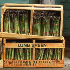 Selecting Asparagus