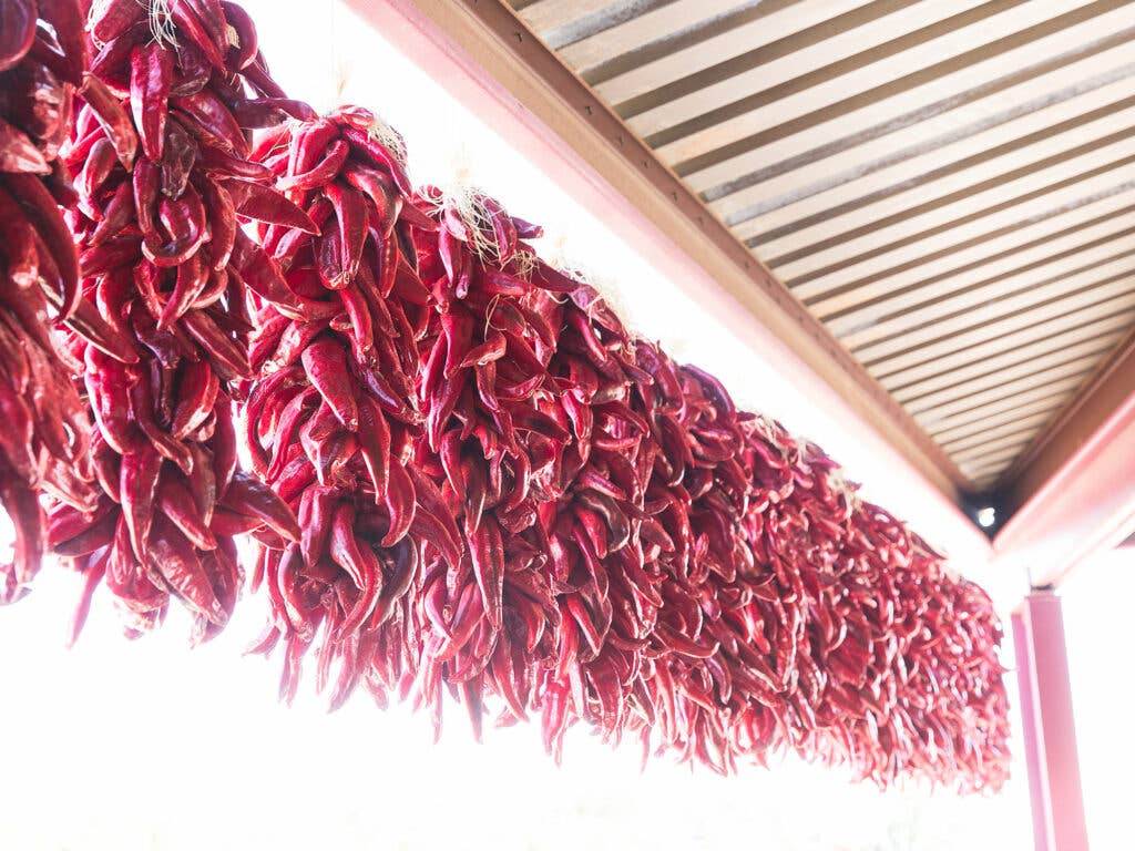 Chile Ristras